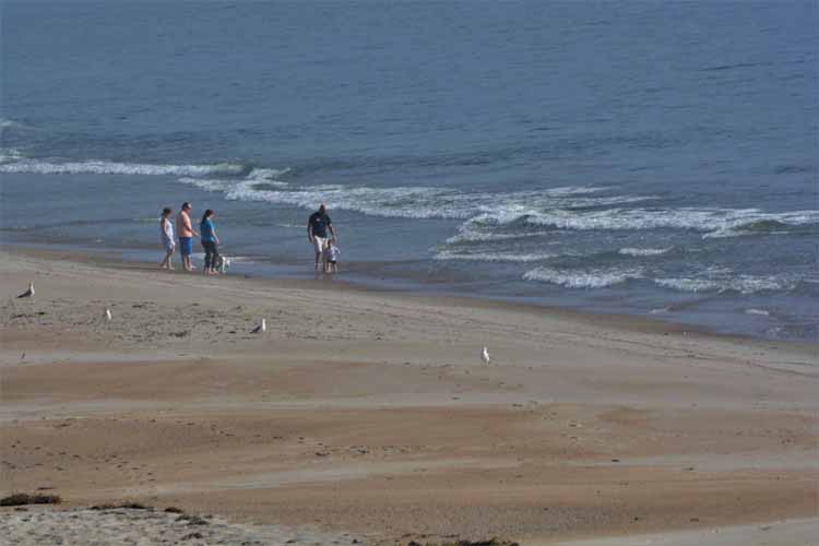 beach scene